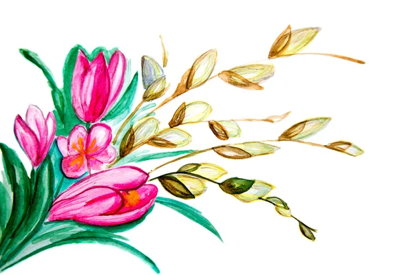 チューリップと他の枝のイラスト花束 — ストック写真
