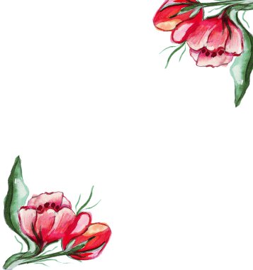 Resimde Şakayık çiçekleri açısal besteleri şeklinde yeşil yaprakları ile