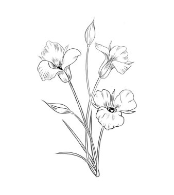 Siyah-beyaz çizim, tek renkli çizim. Beyaz arkaplanda izole edilmiş doğrusal çizim