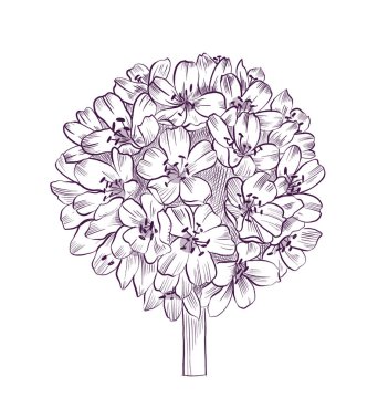 Renkli el çizimi bahar çiçekleri beyaz arka planda izole