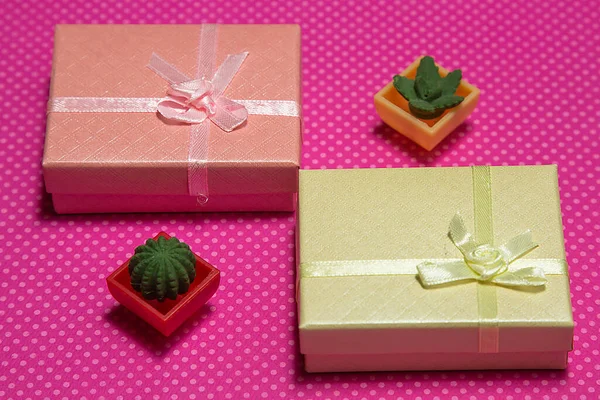 粉色背景的礼品盒和玩具植物 — 图库照片
