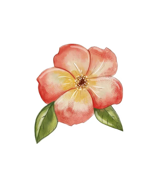 Akwarela Ilustracja Kwiat — Zdjęcie stockowe