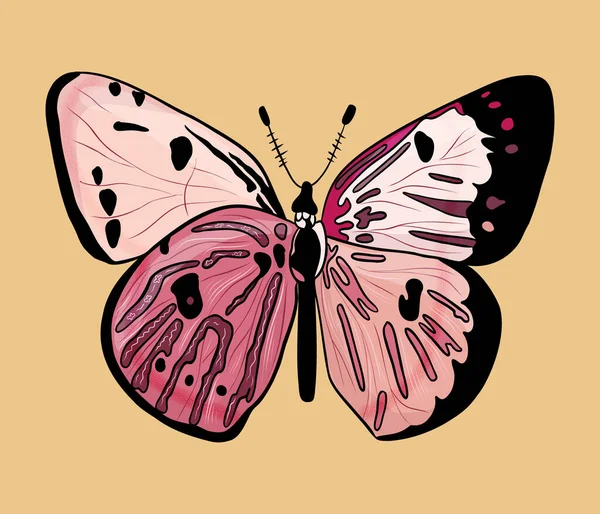 Ilustración Vectorial Fondo Con Mariposa — Vector de stock