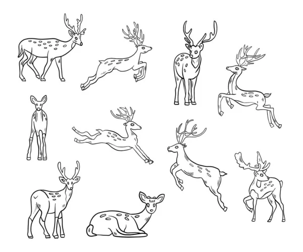 Conjunto Vetorial Cervos Desenhos Animados Bonitos — Vetor de Stock