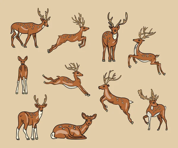 Conjunto Vetorial Cervos Desenhos Animados Bonitos — Vetor de Stock