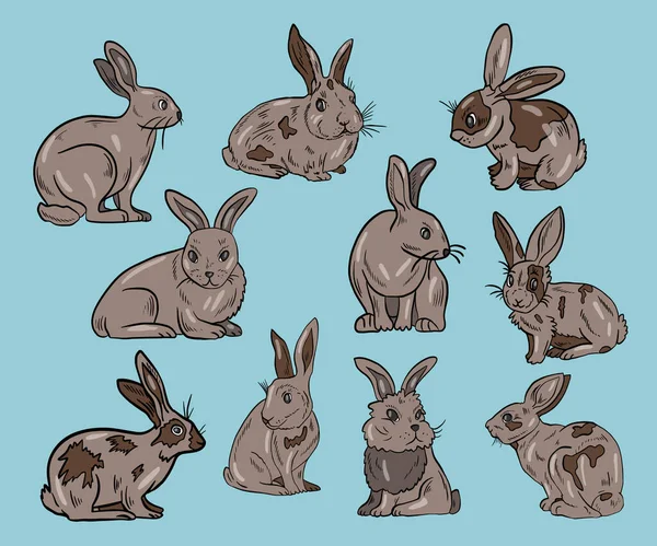 Ensemble Vectoriel Lapins Mignons — Image vectorielle