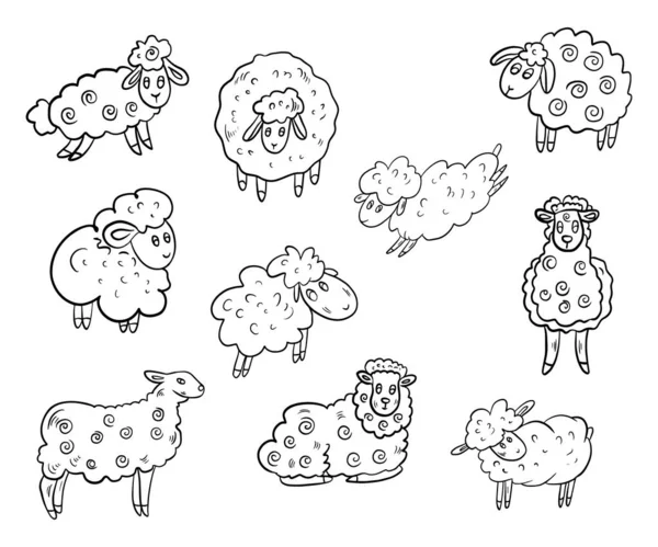 Koyun Sürüsünün Vektör Çizimi — Stok Vektör