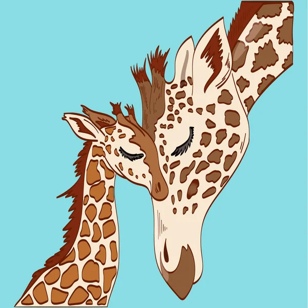 Векторная Иллюстрация Прикосновения Жирафов Синем Фоне — стоковый вектор