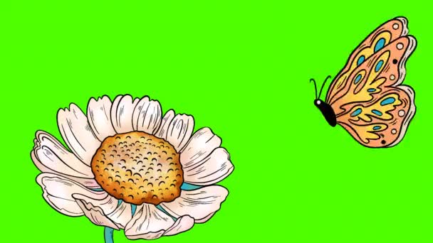 Schmetterling Mit Großer Blume — Stockvideo