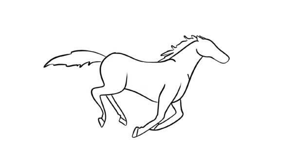 Бегущая Лошадь Заднем Плане — стоковое видео