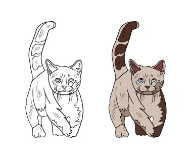 Şirin kedinin vektör çizimi