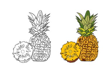 ananas çizimi, el çizimi vektör çizimi