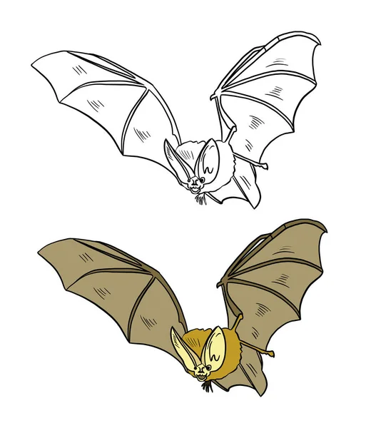 Vector Illustration Cartoon Flying Bat — Stock Photo, Image