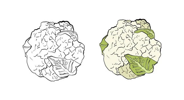 Koolschets Vectorillustratie — Stockfoto