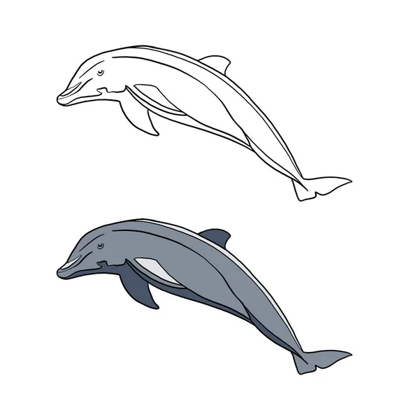 Vector Illustration Cartoon Whale Icon — Stock Photo, Image