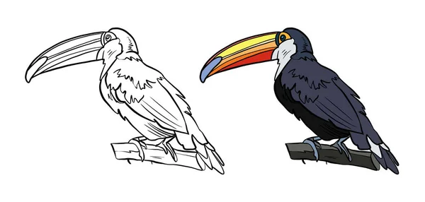 Vector Illustratie Van Toekan Vogel — Stockfoto