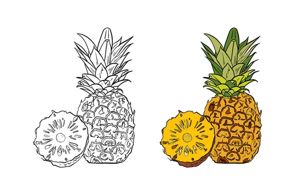 ananas çizimi, el çizimi vektör çizimi