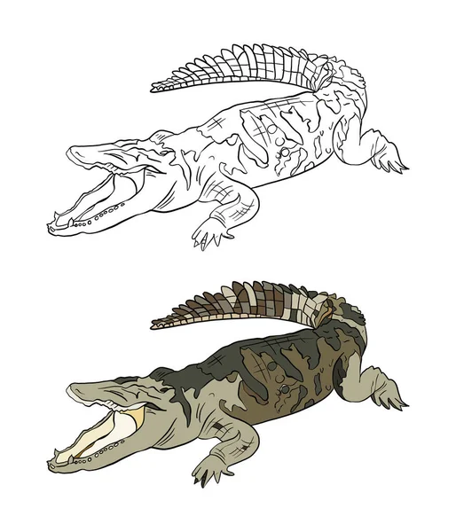 Vektor Illusztrációja Egy Dinoszaurusz — Stock Fotó