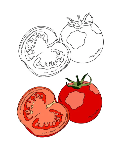 Illustration Vectorielle Tomates Cerises — Photo