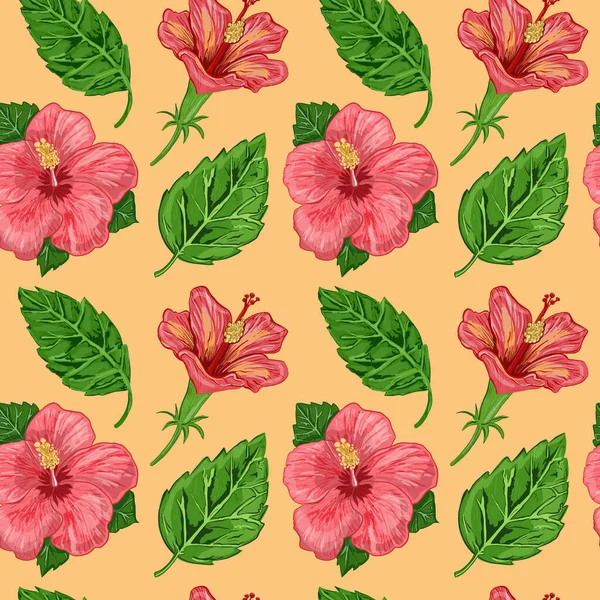 Motif Sans Couture Avec Des Fleurs Hibiscus Illustration Vectorielle — Photo