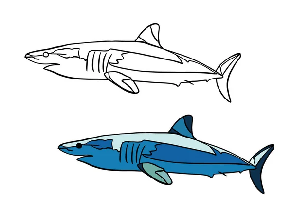 Ilustracja Wektorowa Ryb — Zdjęcie stockowe