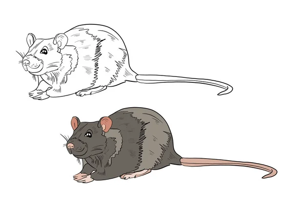 Векторная Иллюстрация Мультяшной Мыши — стоковое фото