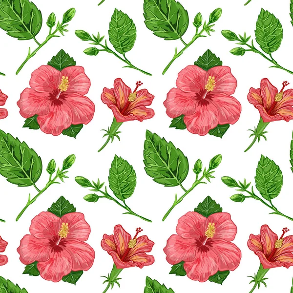 Motif Sans Couture Avec Des Fleurs Hibiscus Illustration Dessinée Main — Photo