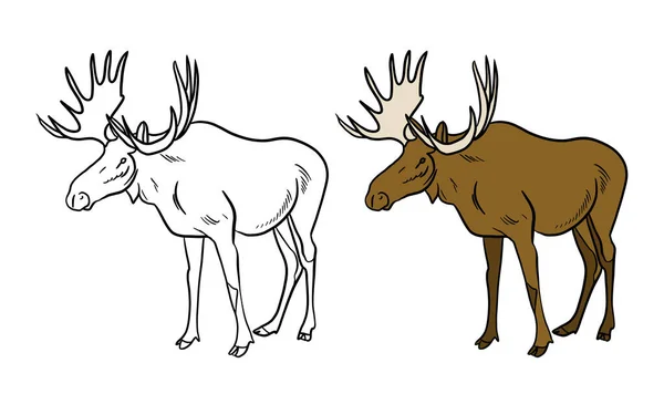 Vector Illustration Deer — Stock Photo, Image