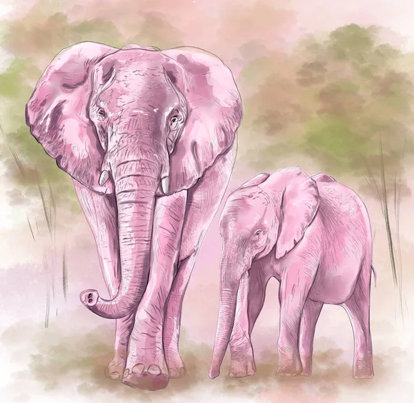 Африканский Слон Иллюстрация Вектор Белом Фоне — стоковое фото