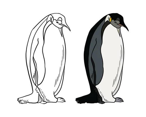 Vektor Illusztrációja Aranyos Pingvin — Stock Fotó