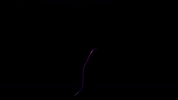 Animação abstrata com canais alfa crescendo raios violeta lilás brotos em um fundo preto — Vídeo de Stock