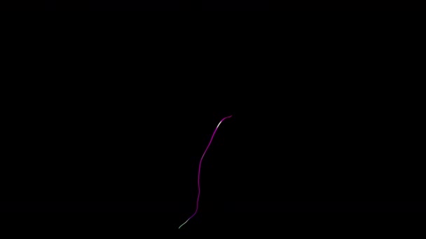黒色の背景に薄紫色の光が芽を出すアルファチャンネルを持つ抽象アニメーション — ストック動画