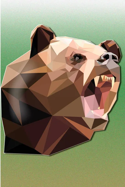 Angry Bear Low Poly — Stock Vector