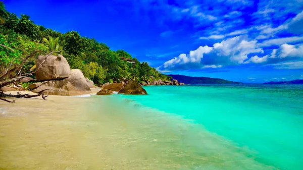 Paradiesischer Strand Auf Der Insel Digue Seychellen — Stockfoto