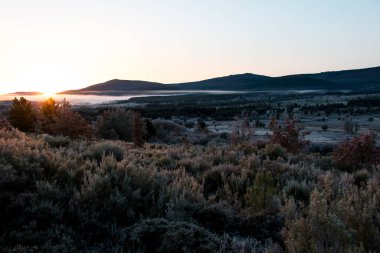 Kurdun topraklarında soğuk gün doğumu, Zamora