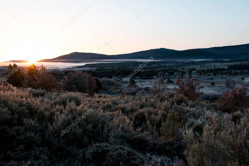 cold sunrise in the wolve's land, Zamora