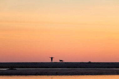 Sahilde köpeğiyle oynayan bir adam. Bir köpek ve sahibinin alacakaranlıkta kumdaki arka ışığı.