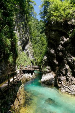 River Grove üzerindeki pist Vintgar Şelalesi, Slovenia 'ya gidiyor. Turkuaz suyu olan nehir.