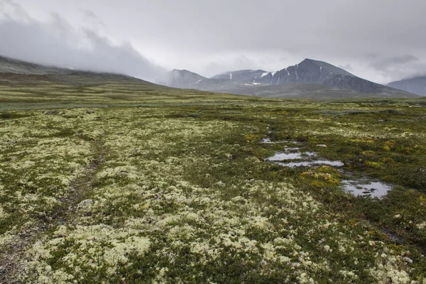 Tundra Landschap Het Nationale Park Van Rondane Noorwegen — Stockfoto