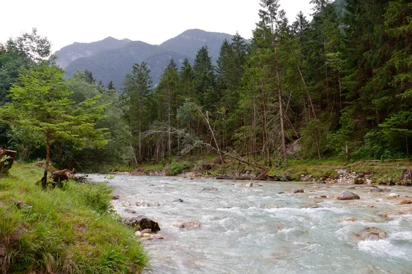 Río Valiente Través Del Bosque Parque Nacional Triglav Eslovenia —  Fotos de Stock