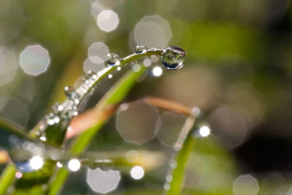 Gouttes Eau Bokeh Détail Une Goutte Eau Avec Reflet Point — Photo