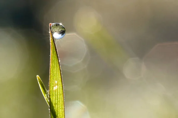 Vízcsepp Bokeh Részlet Egy Csepp Víz Reflexió Fókusz Többi Kép — Stock Fotó