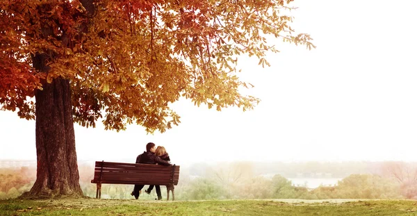 Young Couple Kissing on a Bench under the Huge Chestnut .
