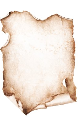 Eski kağıt parşömeni beyaza izole edildi