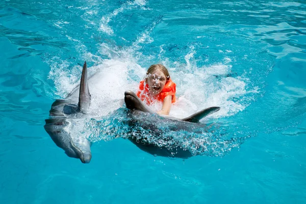 Šťastná malá dívka na koni dva delfíny v bazénu — Stock fotografie