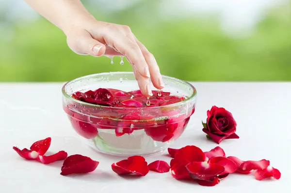 Female Hand, Water Drops and Roses Petals — Stock Photo, Image