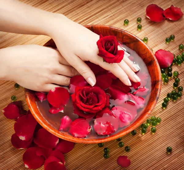 Mãos femininas na tigela de água com rosas vermelhas — Fotografia de Stock