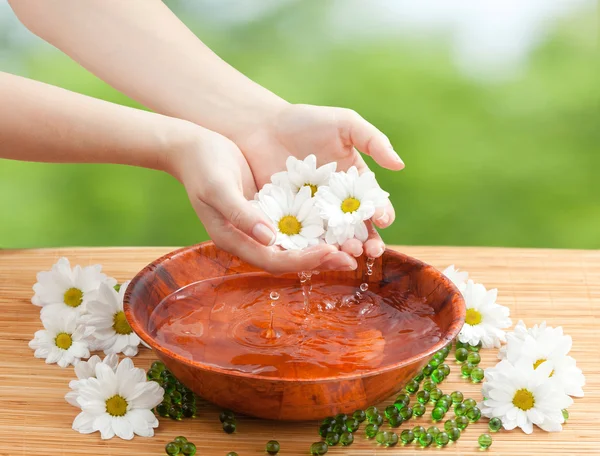 Female Hands with Drops of Water and Chamomiles — Stock Photo, Image