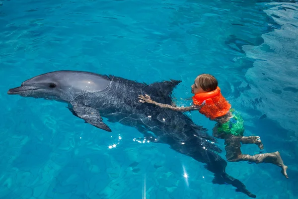 Niña y el delfín en la piscina — Foto de Stock