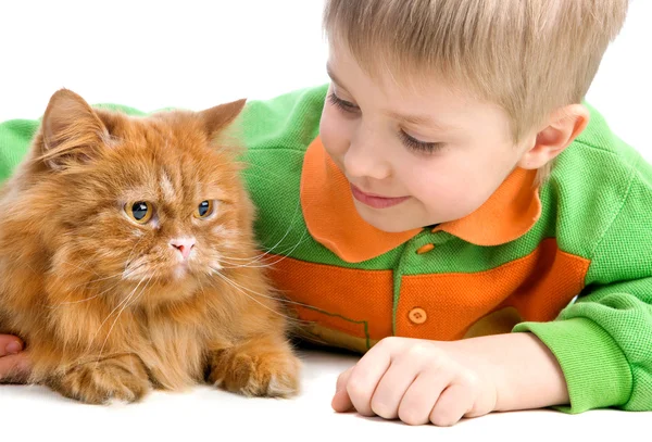 Niño juguetón y gato rojo serio — Foto de Stock